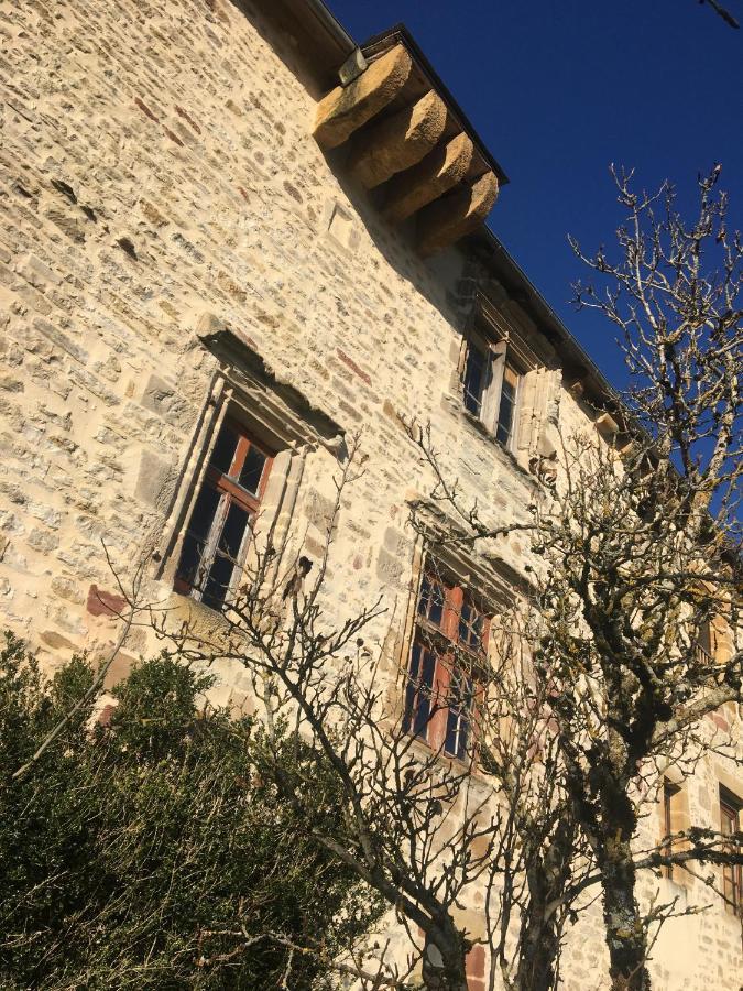 Le Chateau De Lunel Saint-Félix-de-Lunel Exterior foto